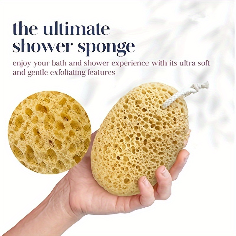 Unisex Seaweed Sponge Bath Bub - Seaweed Snack ulasan dan harga